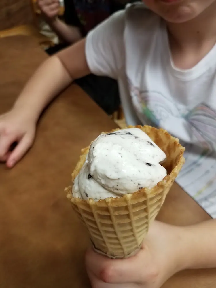 Cookies & Cream Ice Cream in a Waffle Cone