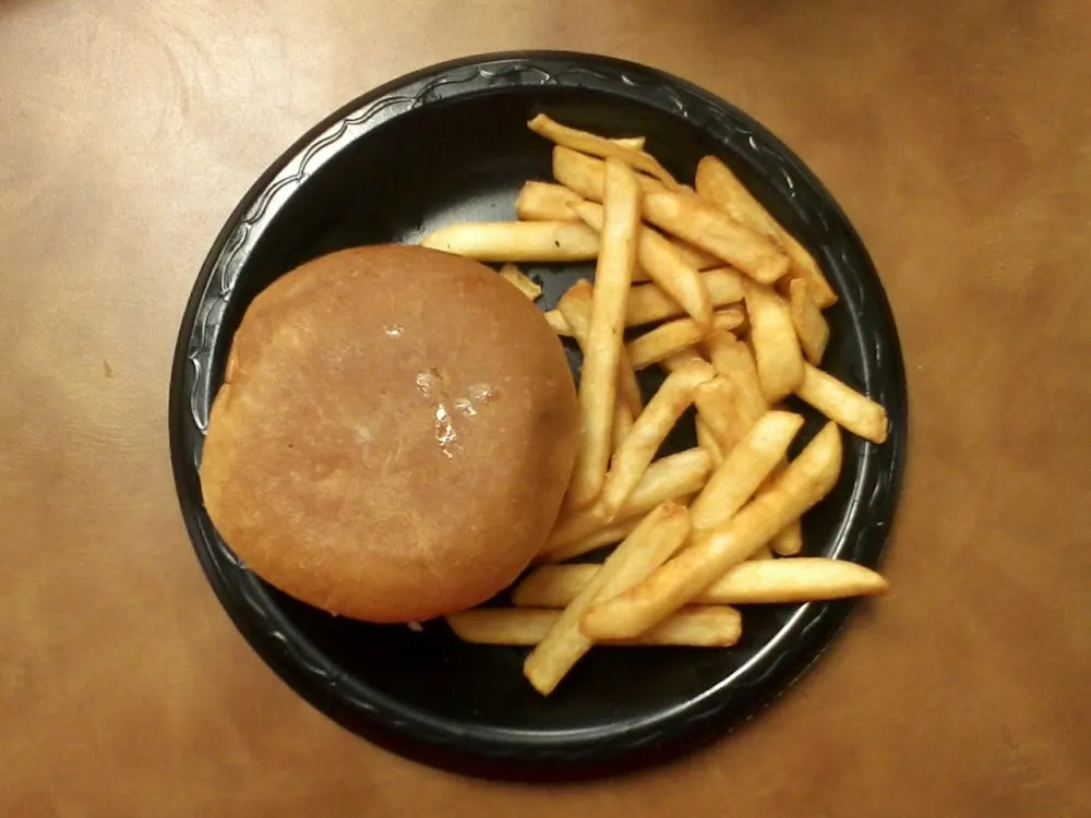 Hamburger with Fries
